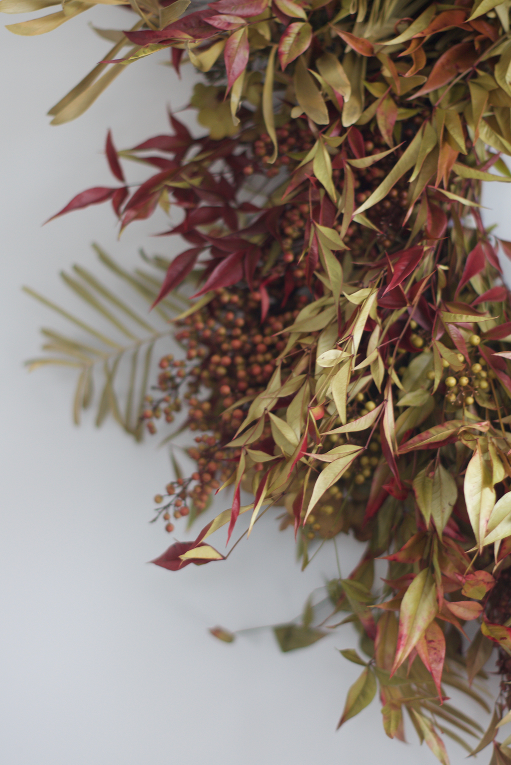 dried wreath - berry & fern